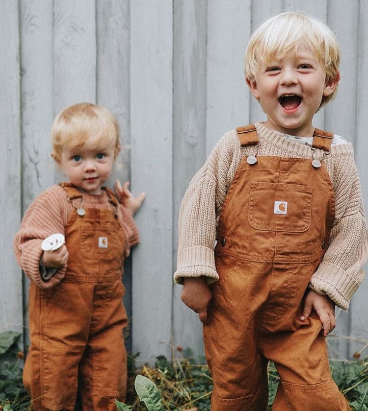 Carhartt Klassiske Workwear Overalls (Smækbukser)