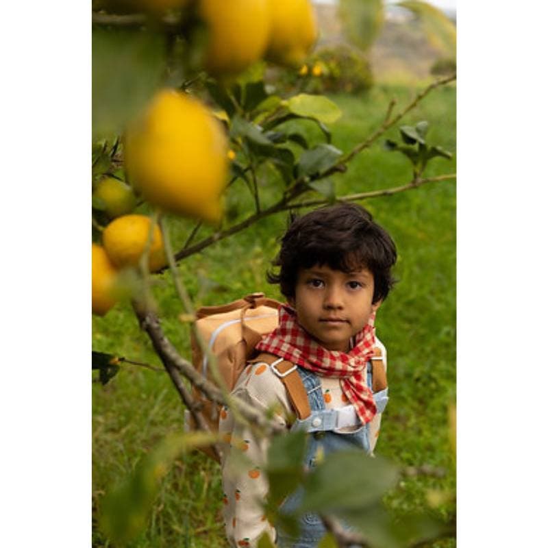 Sticky Lemon / Rygsæk lille / Pear jam — billede 5