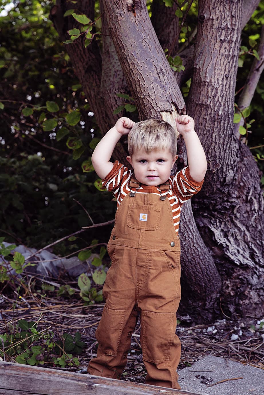 Carhartt Klassiske Workwear Overalls (Smækbukser) — billede 2