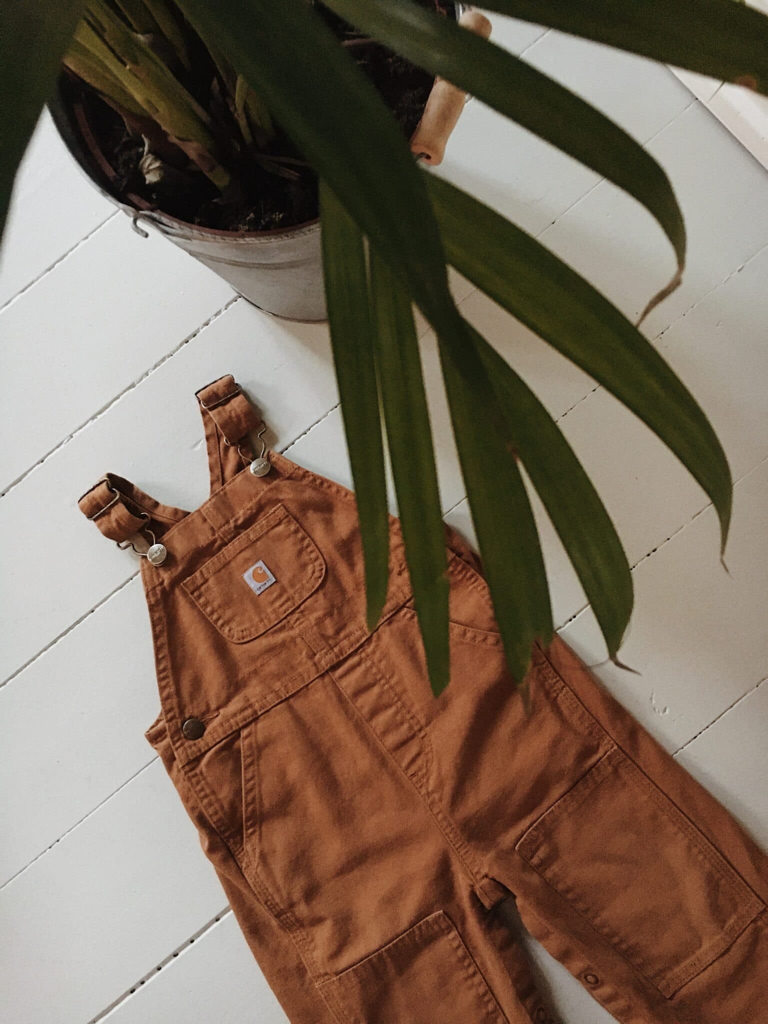 Carhartt Klassiske Workwear Overalls (Smækbukser) — billede 4