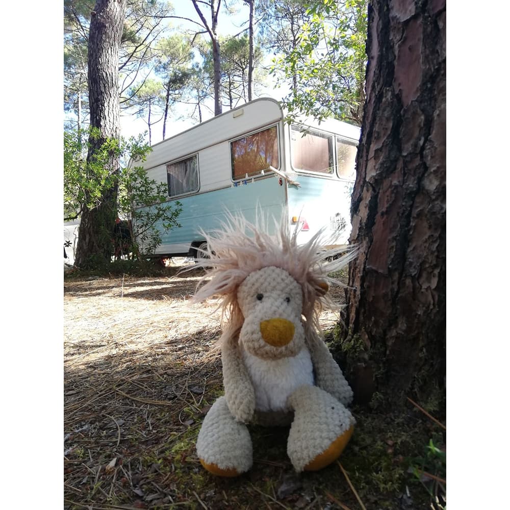 Moulin Roty / Lille løve — billede 2