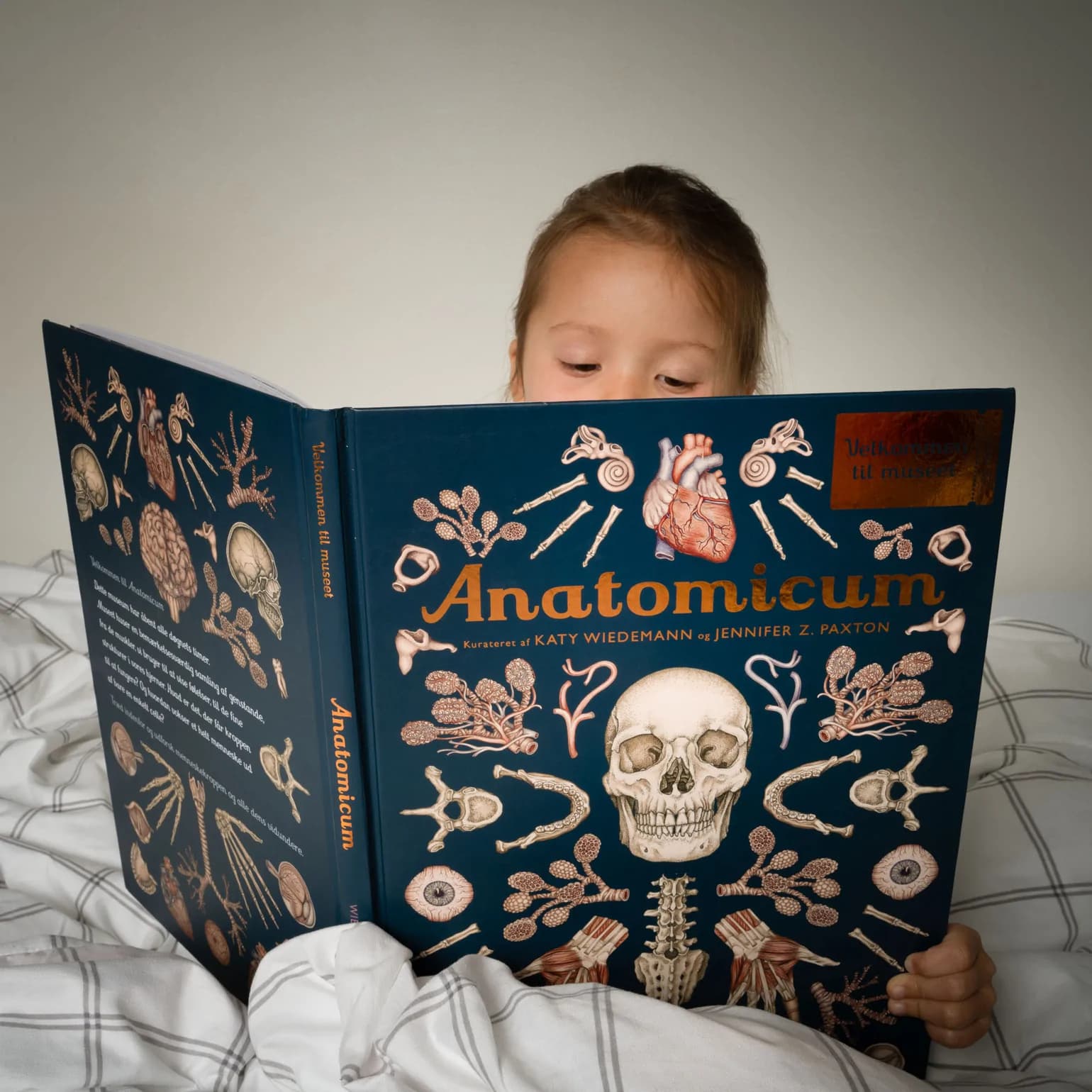 Forlaget Mammut / Anatomicum — billede 1