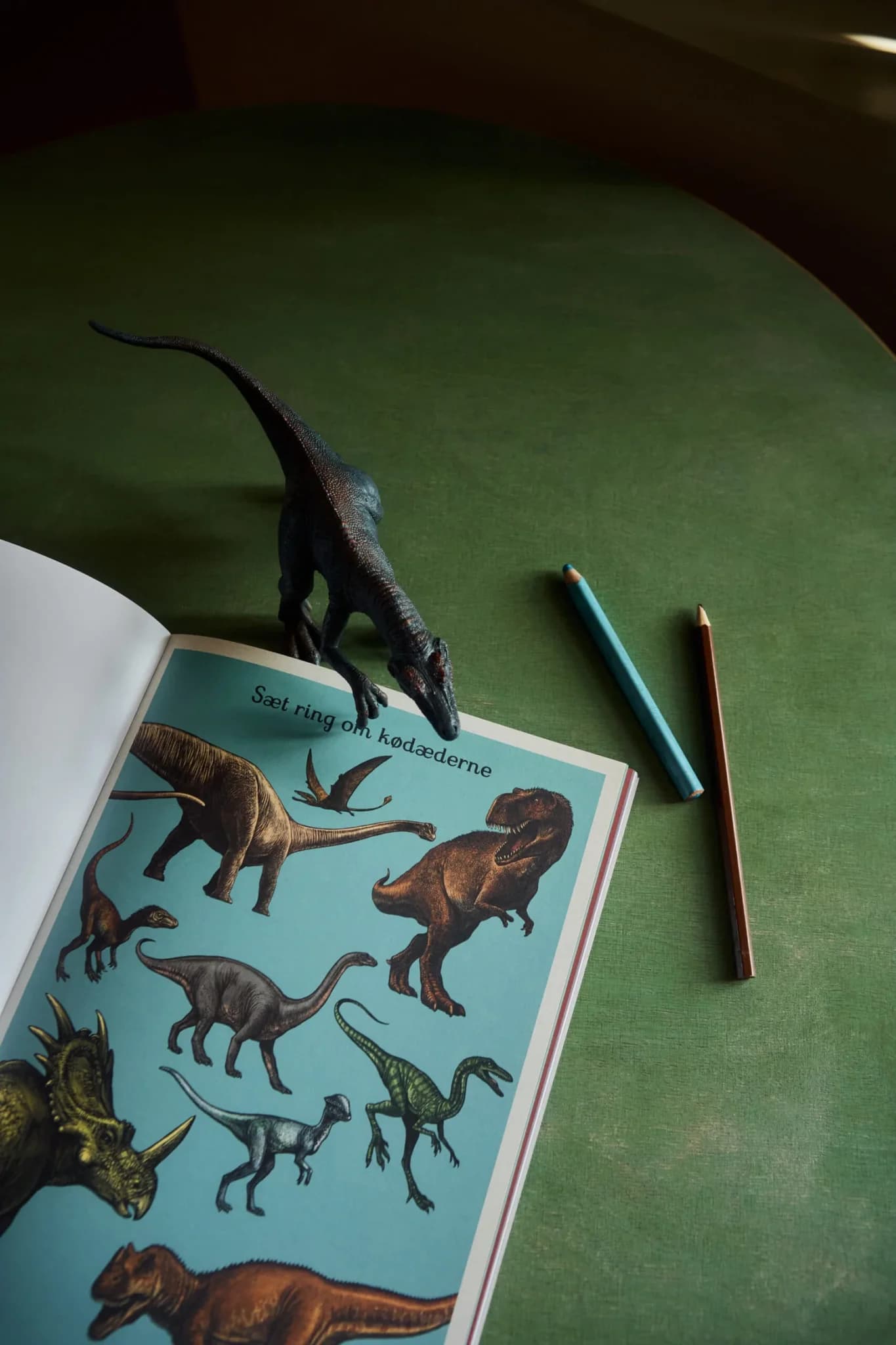 Forlaget Mammut / Dinosaurium Aktivitetsbog — billede 3