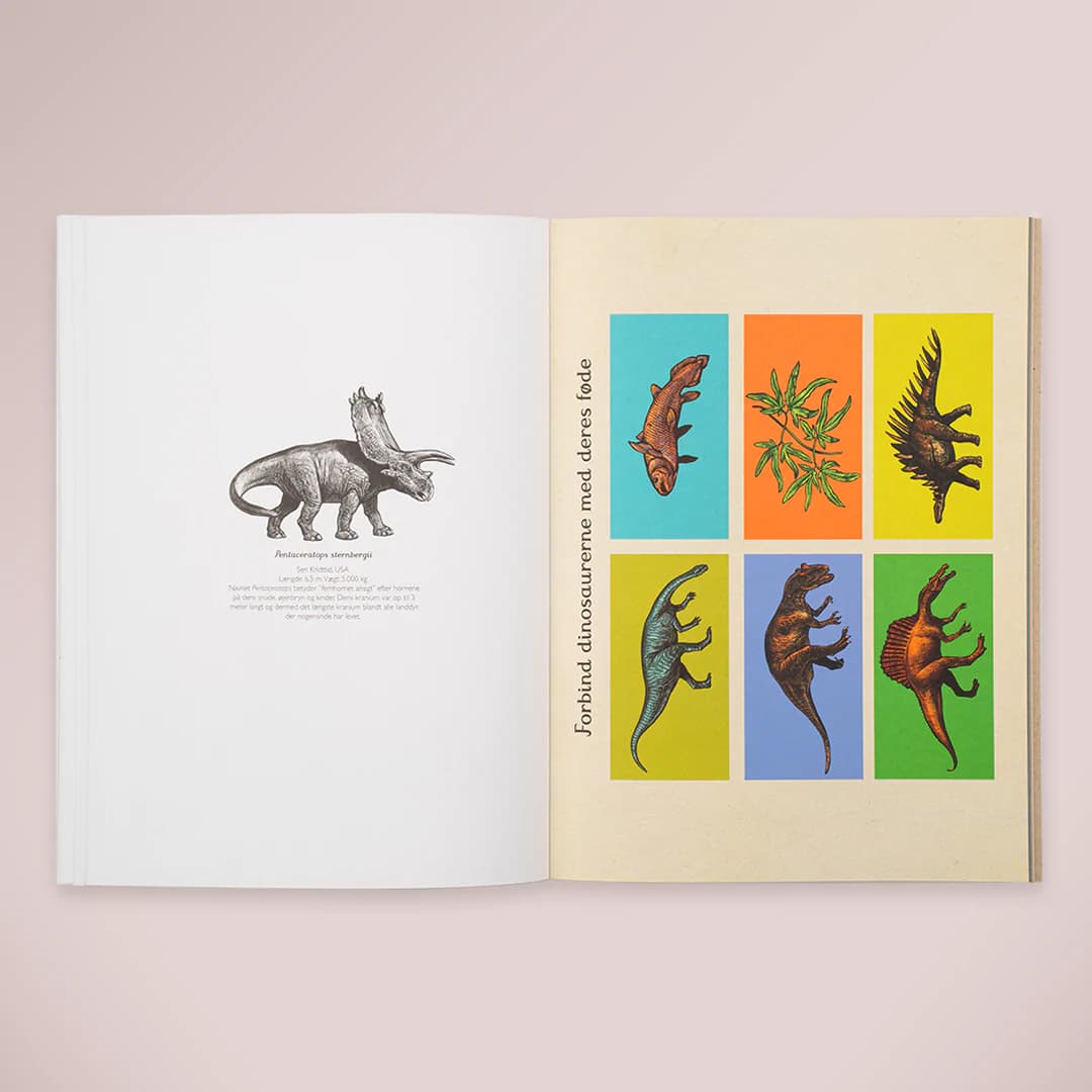 Forlaget Mammut / Dinosaurium Aktivitetsbog — billede 4