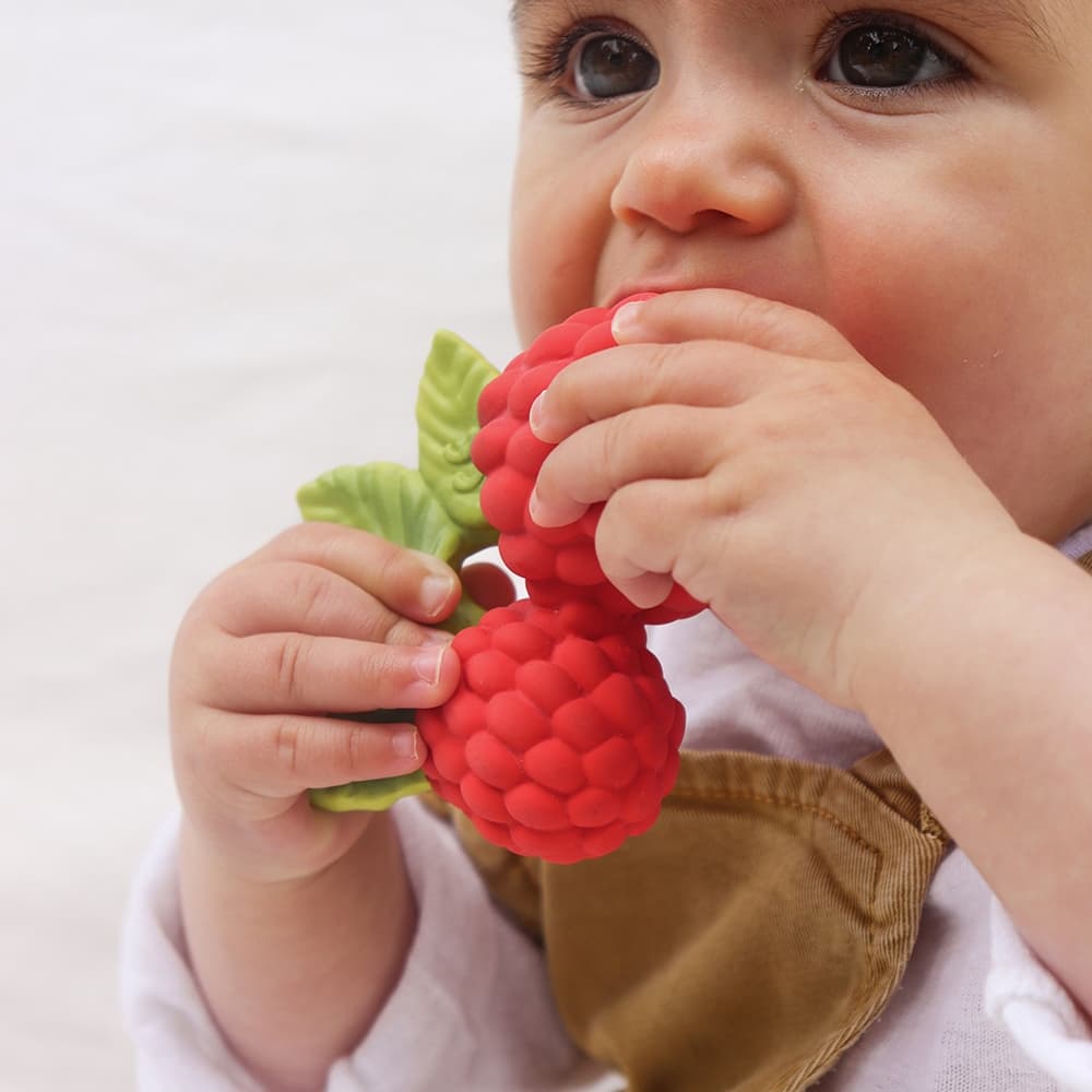 Oli & Carol / Bidering / Valery the Raspberry — billede 1