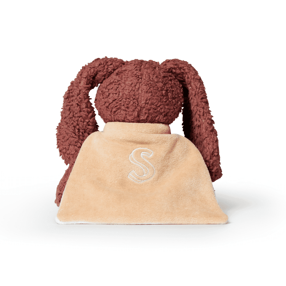 Sleeping Hero / den trofaste hund — billede 2