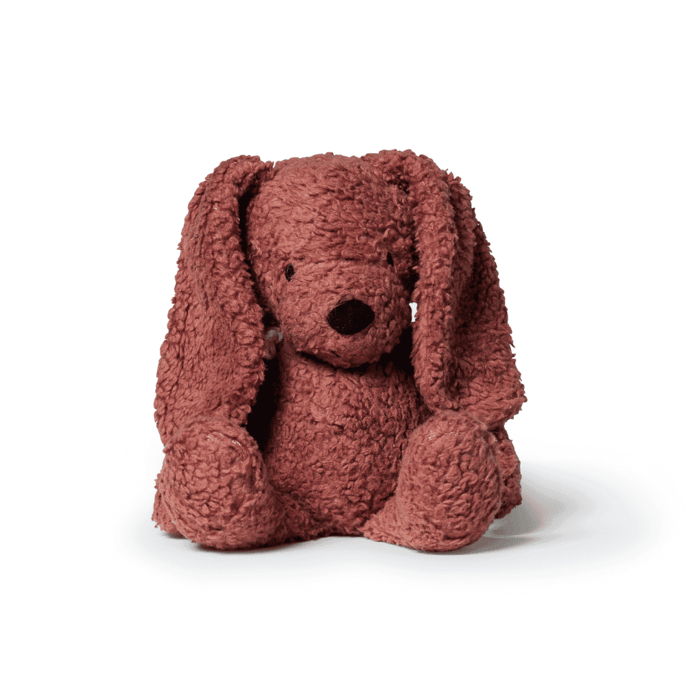 Sleeping Hero / den trofaste hund — billede 3