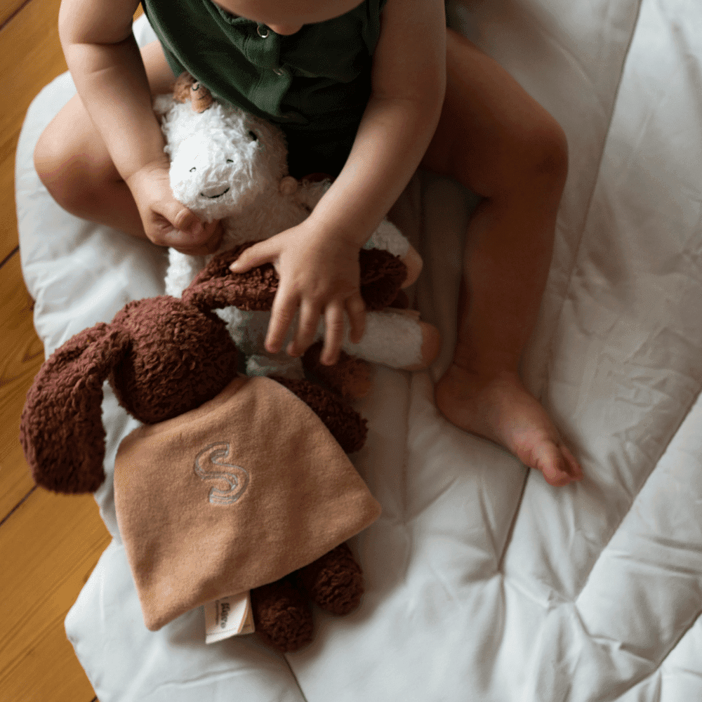 Sleeping Hero / den trofaste hund — billede 7